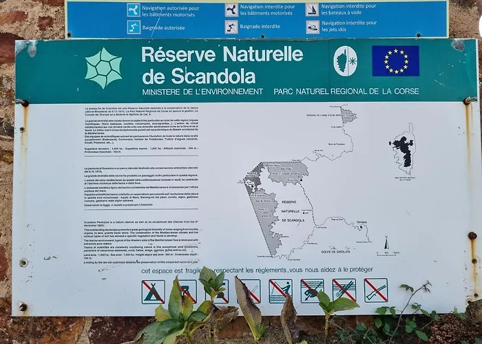 Palmarella *
