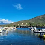 Palmarella *