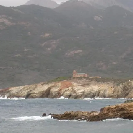 Palmarella Daire