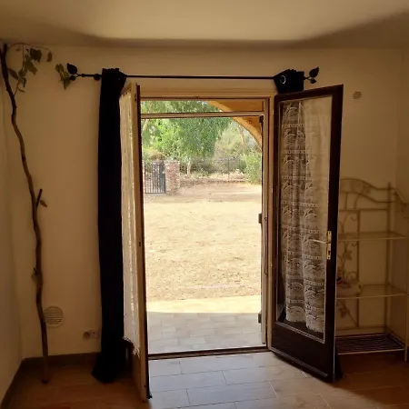 Palmarella غاليريا