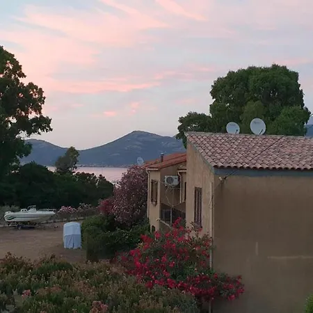 Palmarella Galeria (Corsica)