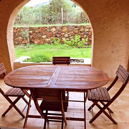 Palmarella غاليريا