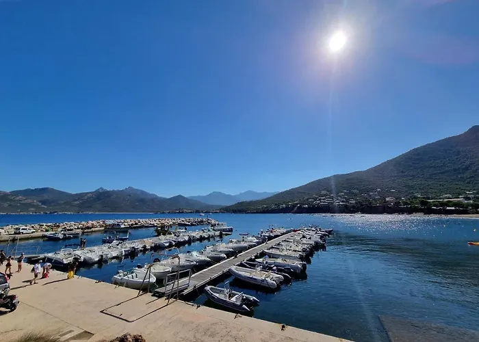 Appartement Résidence Palmarella